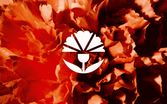 A flower. A revolution. Our new symbol.