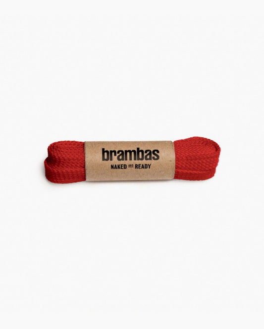 Cordones Lisos - Saffron